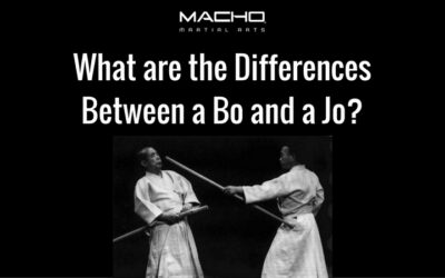 What Are The Differences Between A Bo Staff And A Jo Staff?