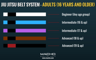 Brazilian Jiu Jitstu Belts & Stripes Explained