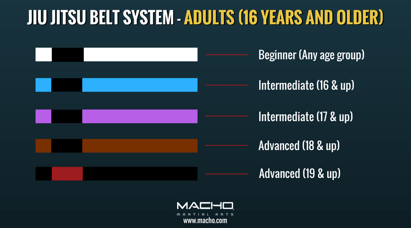 Brazilian Jiu Jitstu Belts & Stripes Explained