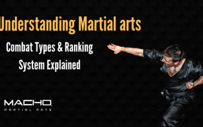 Understanding Martial Arts