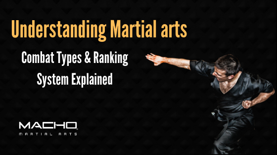 Understanding Martial Arts