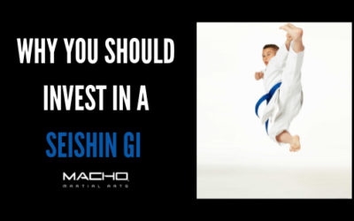 Why You Should Invest in a Seishin Gi